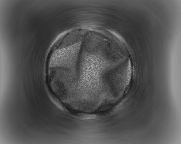 X0000086280438200704191949