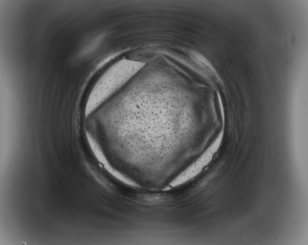 X0000086280439200704191949