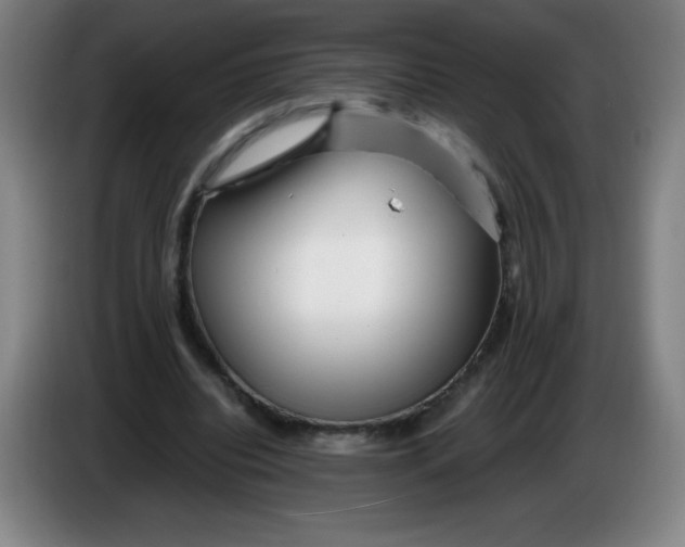 X0000086280440200704191949