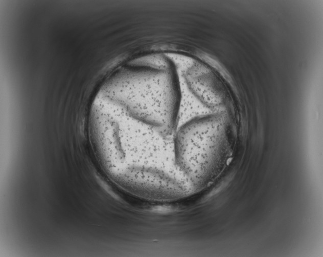 X0000086280441200704191949