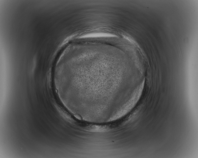 X0000086280442200704191949