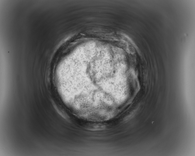 X0000086280443200704191949