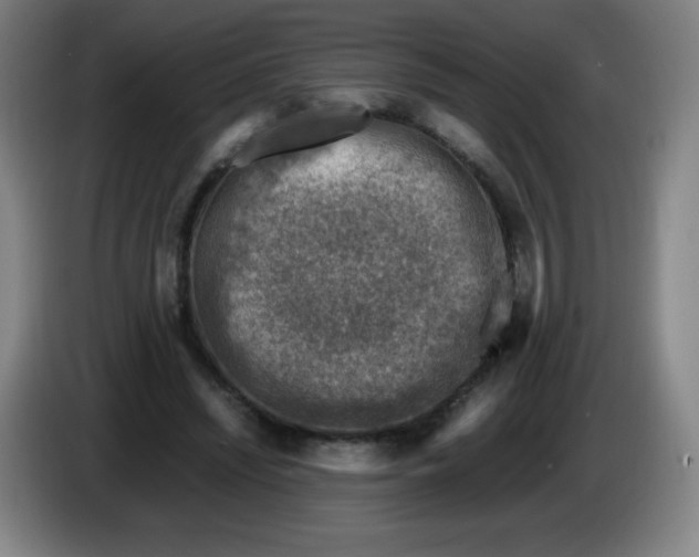 X0000086280444200704191949