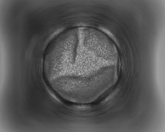 X0000086280445200704191949