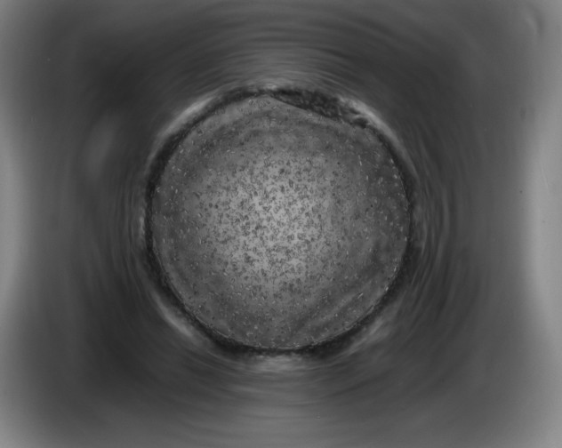 X0000086280446200704191949