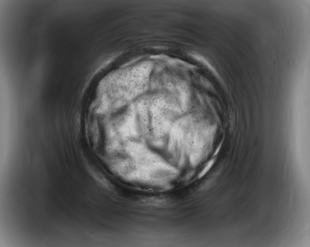 X0000086280447200704191949