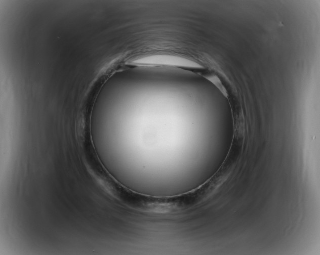 X0000086280448200704191949