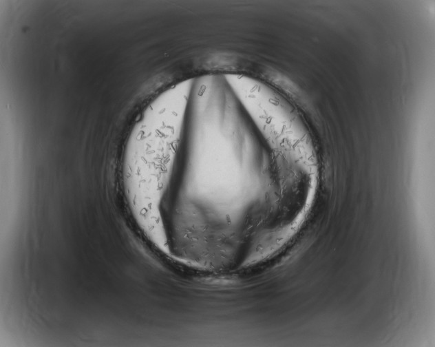 X0000086280449200704191949