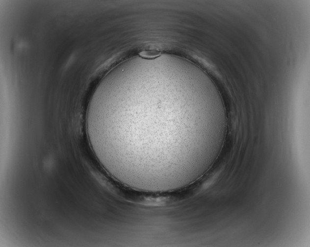 X0000086280450200704191949