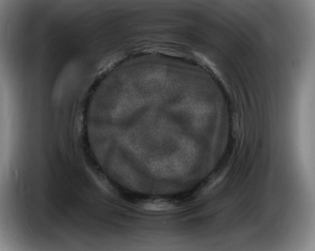 X0000086280451200704191949