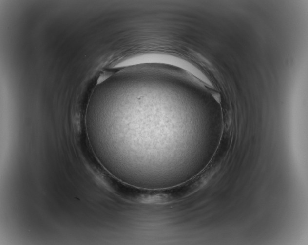 X0000086280452200704191949