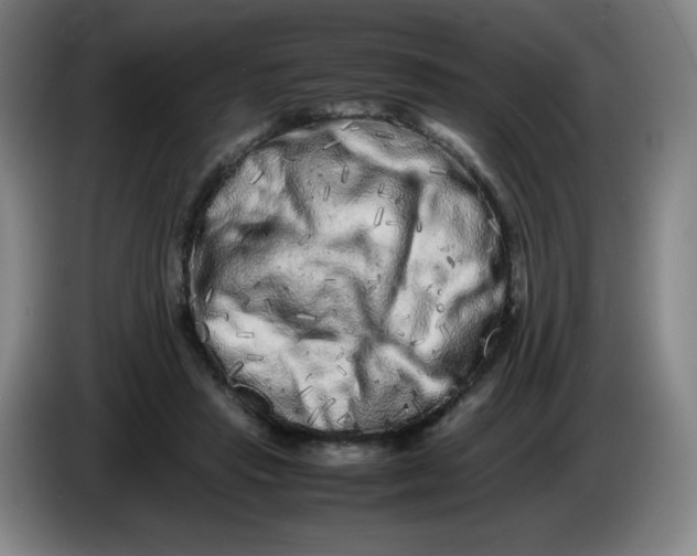 X0000086280453200704191949