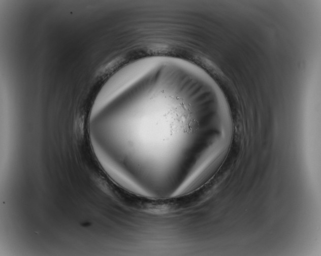 X0000086280454200704191949