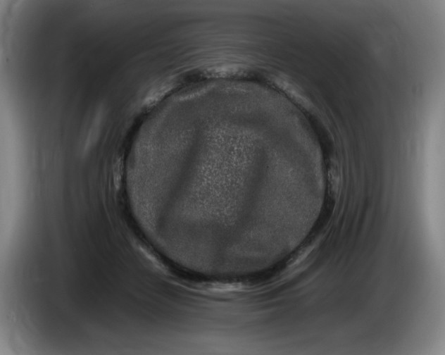 X0000086280458200704191950