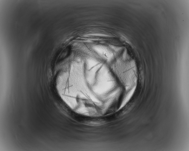 X0000086280459200704191950