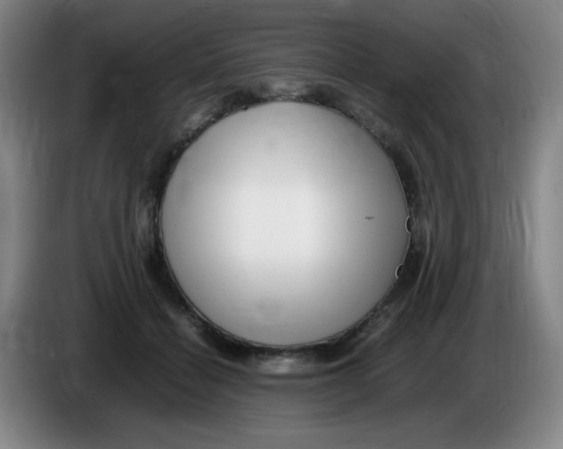 X0000086280460200704191950