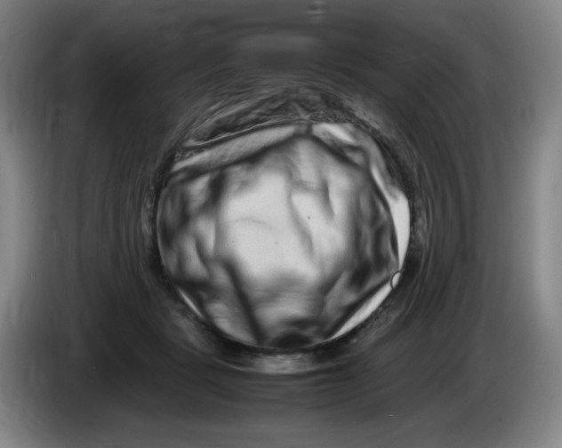 X0000086280461200704191950