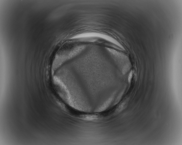 X0000086280462200704191950