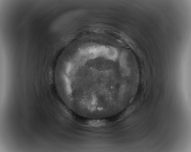 X0000086280465200704191950