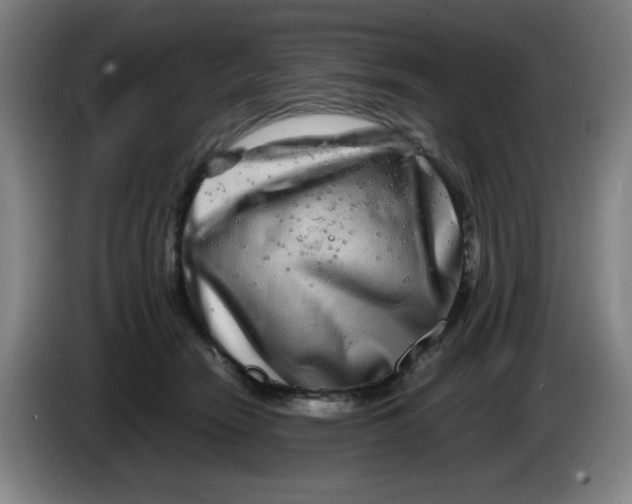 X0000086280466200704191950