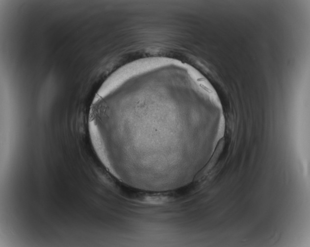 X0000086280470200704191950