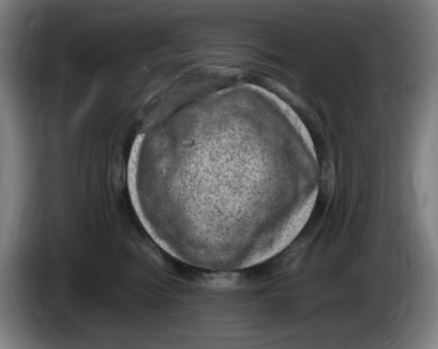 X0000086280474200704191950