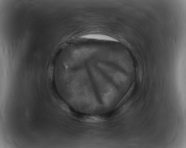 X0000086280475200704191950