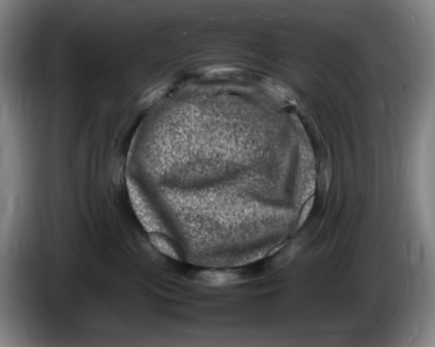 X0000086280477200704191950