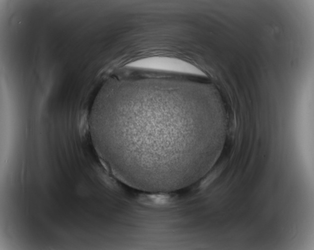 X0000086280478200704191950