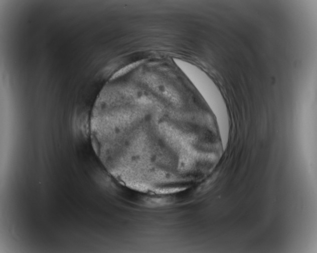 X0000086280479200704191950