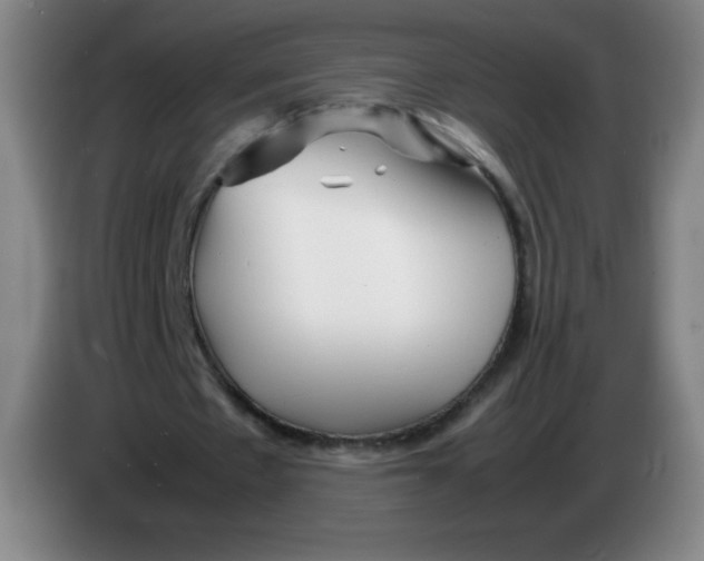 X0000086280481200704191949