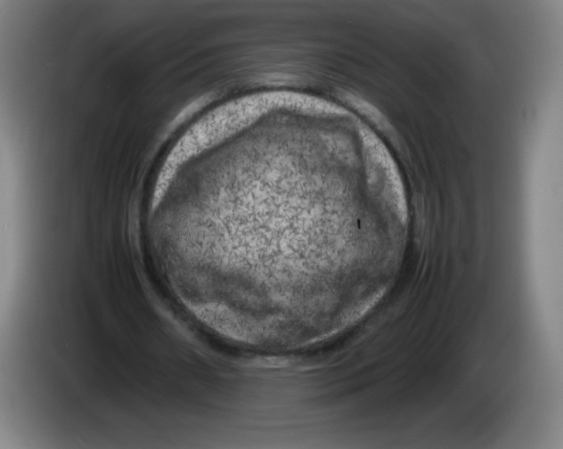 X0000086280482200704191949