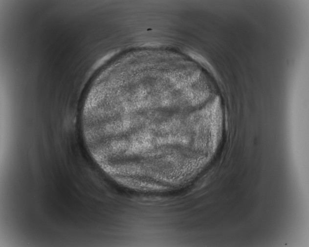 X0000086280483200704191949