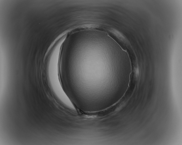 X0000086280484200704191949