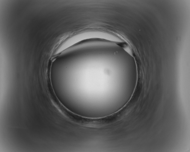 X0000086280485200704191949