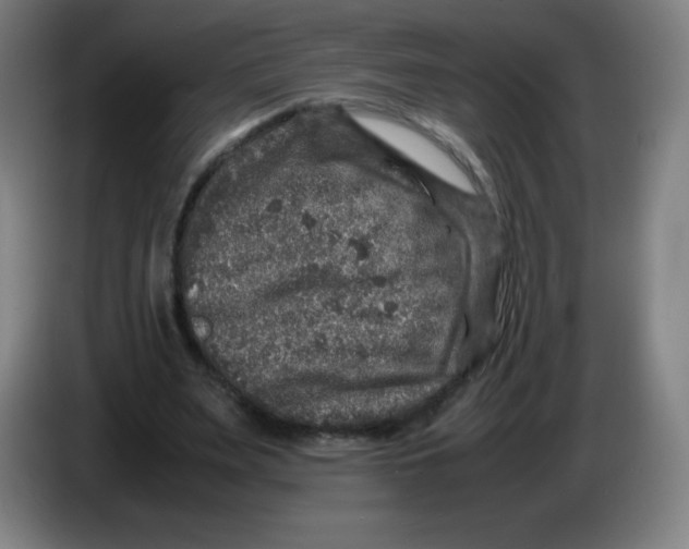 X0000086280487200704191949