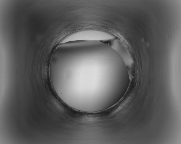 X0000086280489200704191949