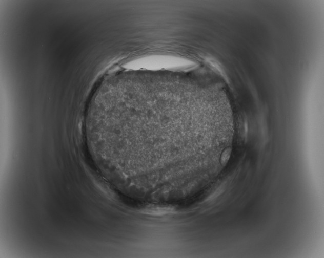 X0000086280491200704191949