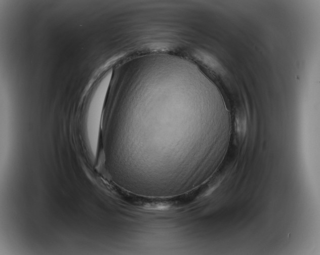 X0000086280492200704191949