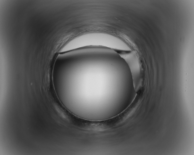 X0000086280493200704191949