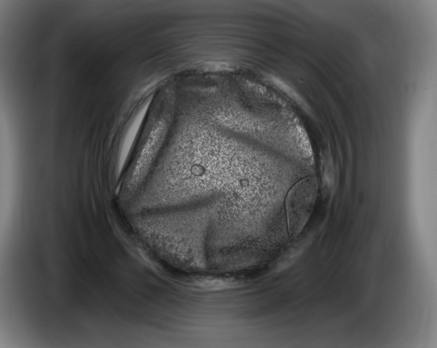 X0000086280494200704191949