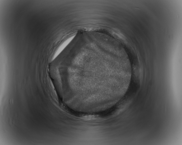 X0000086280499200704191949