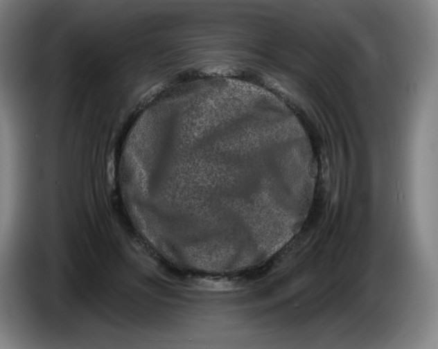 X0000086280502200704191949