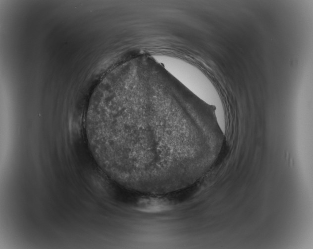 X0000086280503200704191949