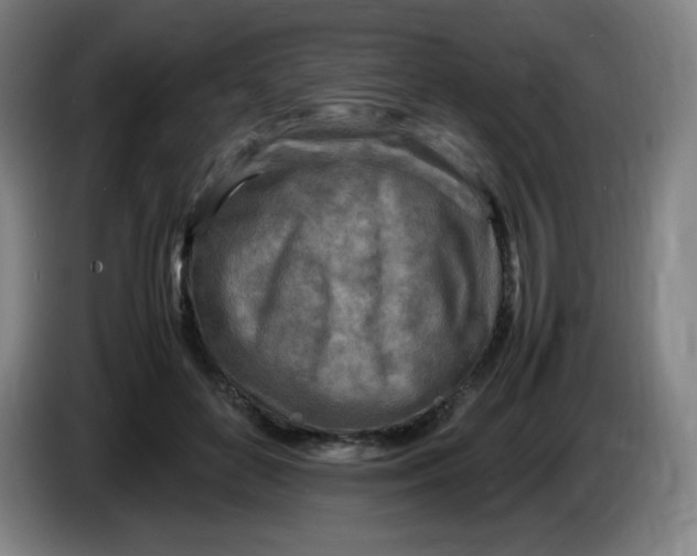 X0000086280504200704191949