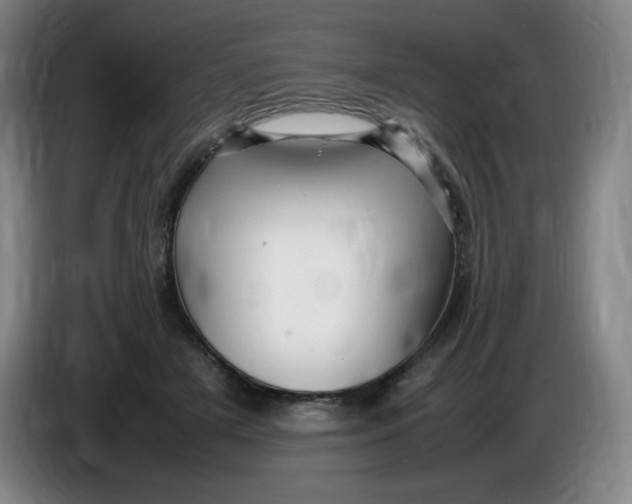 X0000086280505200704191949