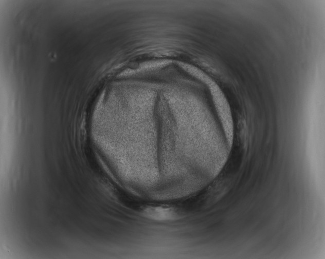 X0000086280506200704191949