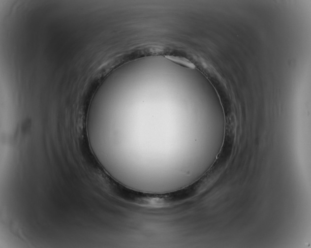 X0000086280509200704191949