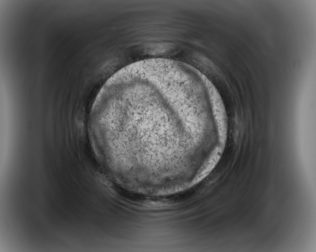 X0000086280510200704191949