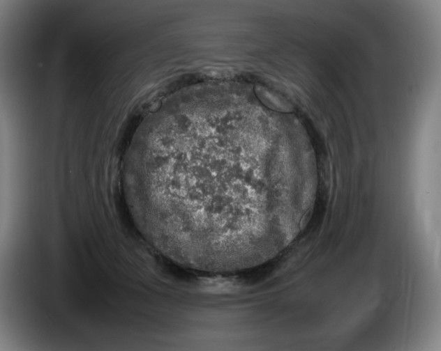 X0000086280511200704191949